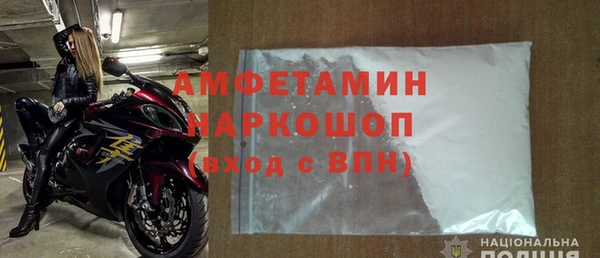 гидра Няндома