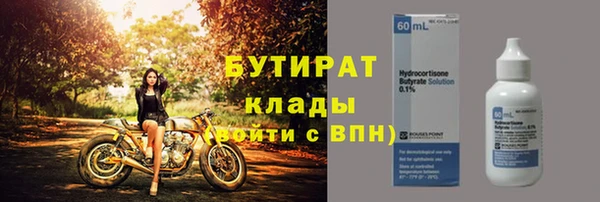 гидра Няндома