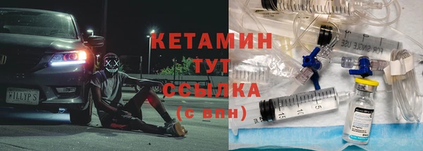 гидра Няндома