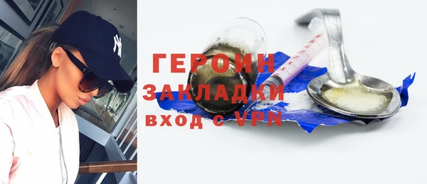 гидра Няндома