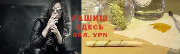 гидра Няндома