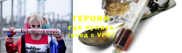 гидра Няндома