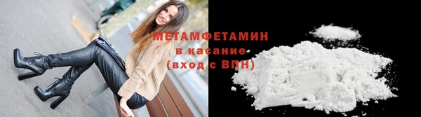 гидра Няндома