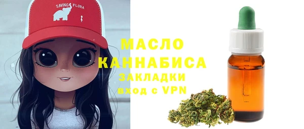 гидра Няндома