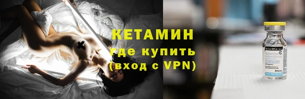 гидра Няндома