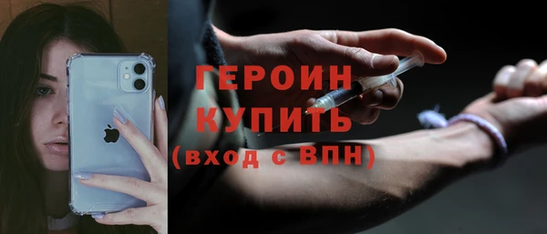 гидра Няндома