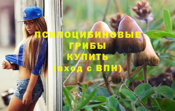 а пвп мука Нязепетровск