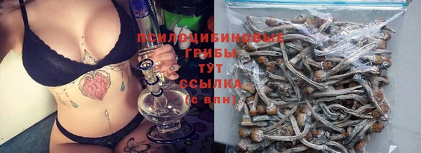 гидра Няндома