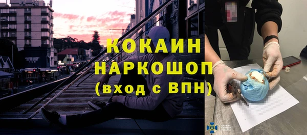 гидра Няндома