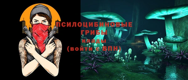 2c-b Нягань