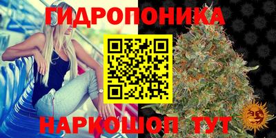 наркотики Гусиноозёрск