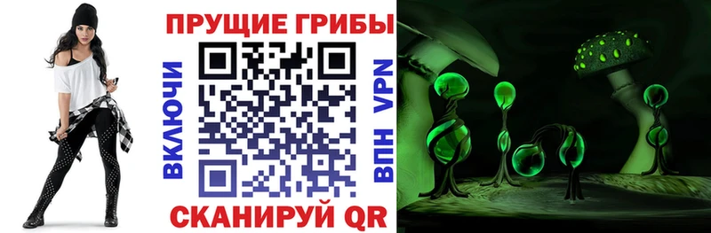 Галлюциногенные грибы GOLDEN TEACHER Первоуральск